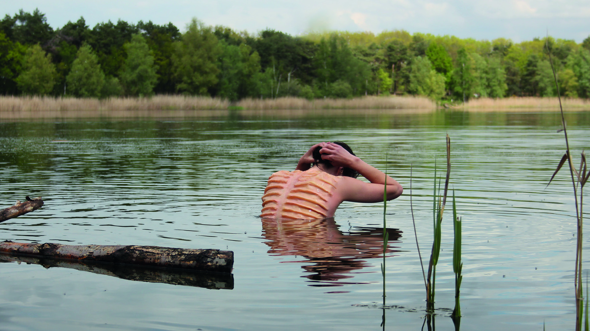 The Community of Symbiosis