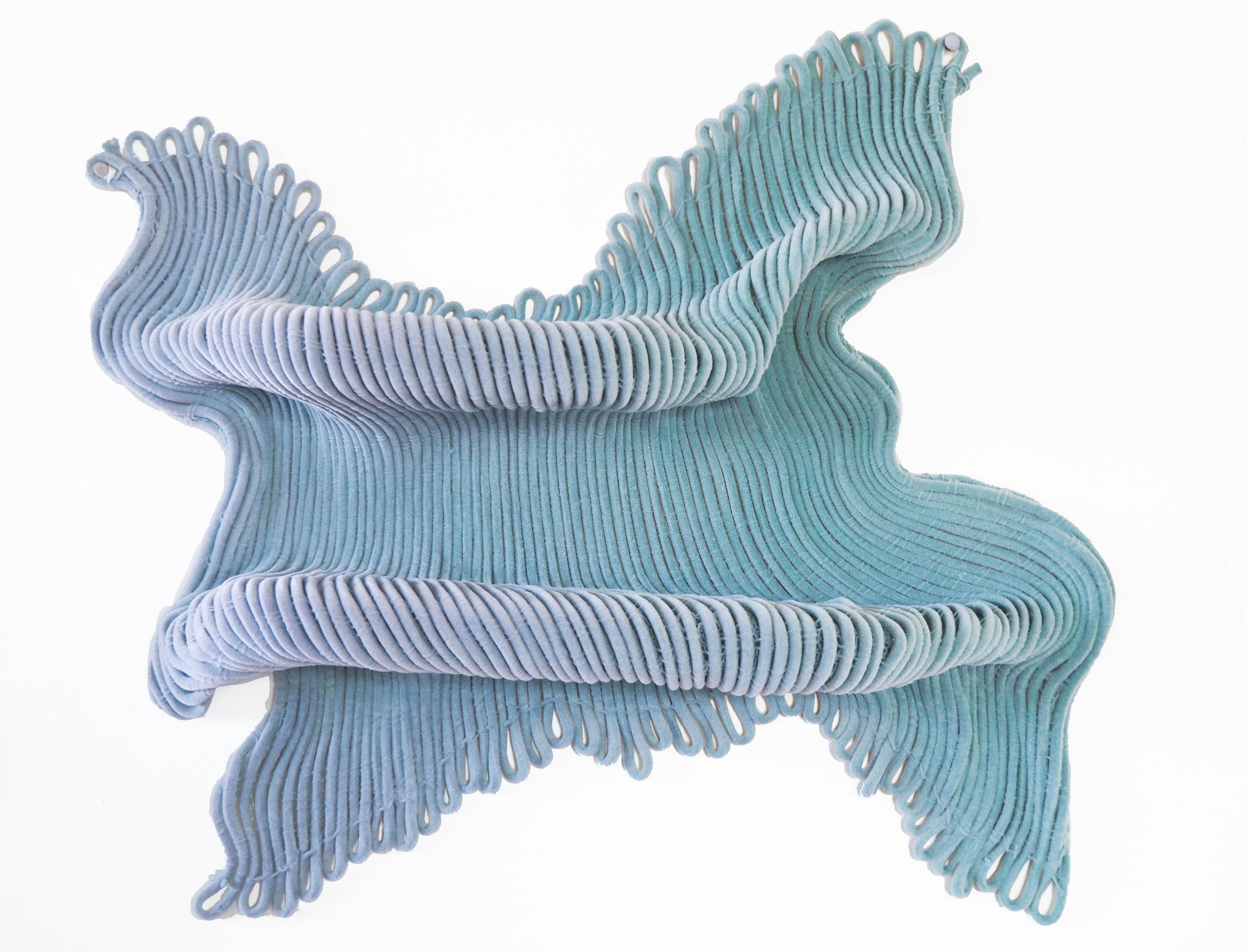 Palmata Shelf