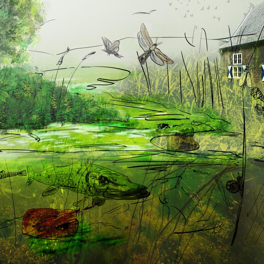 The Symbiocene Forest