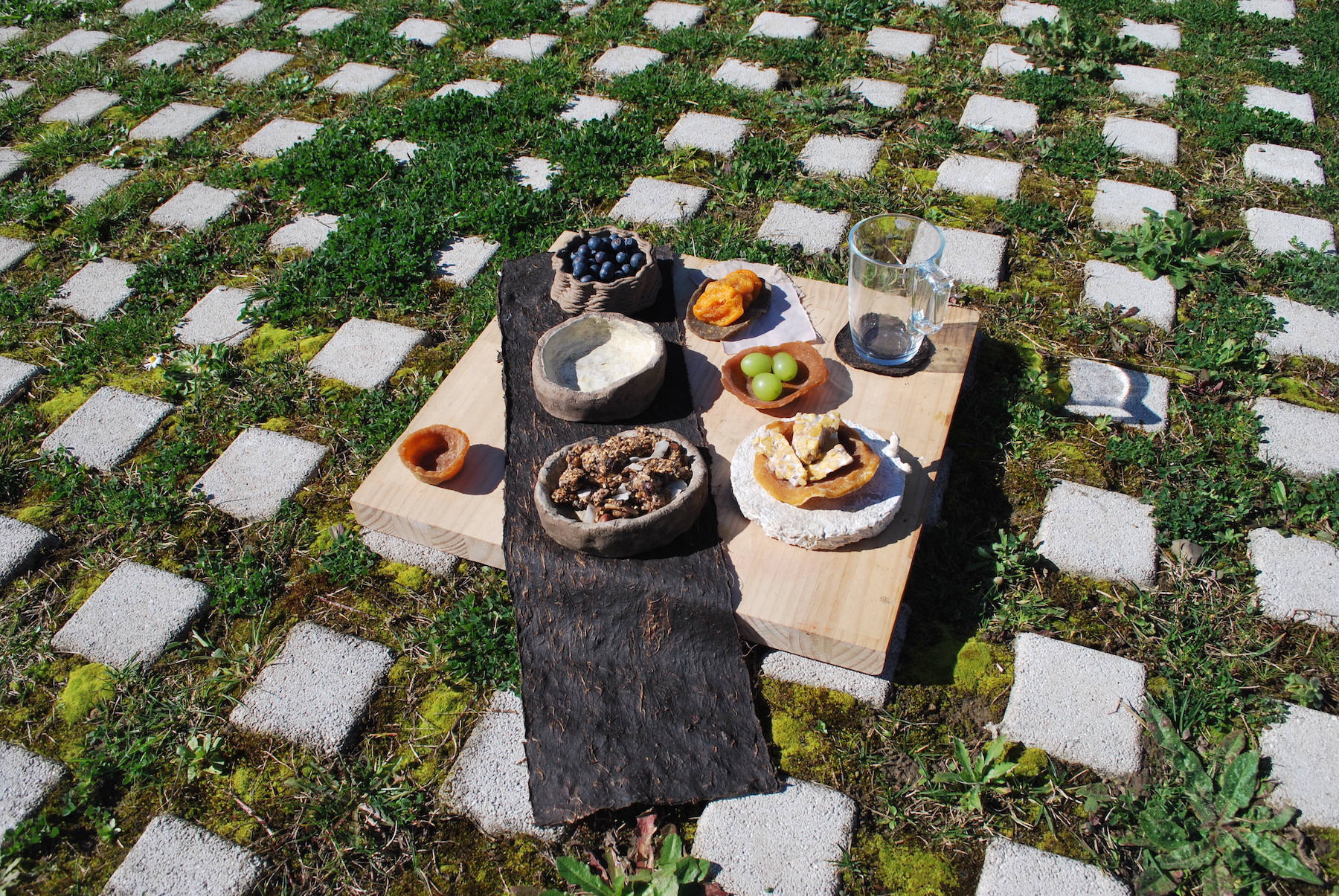 The Mycelium House, a living picnic