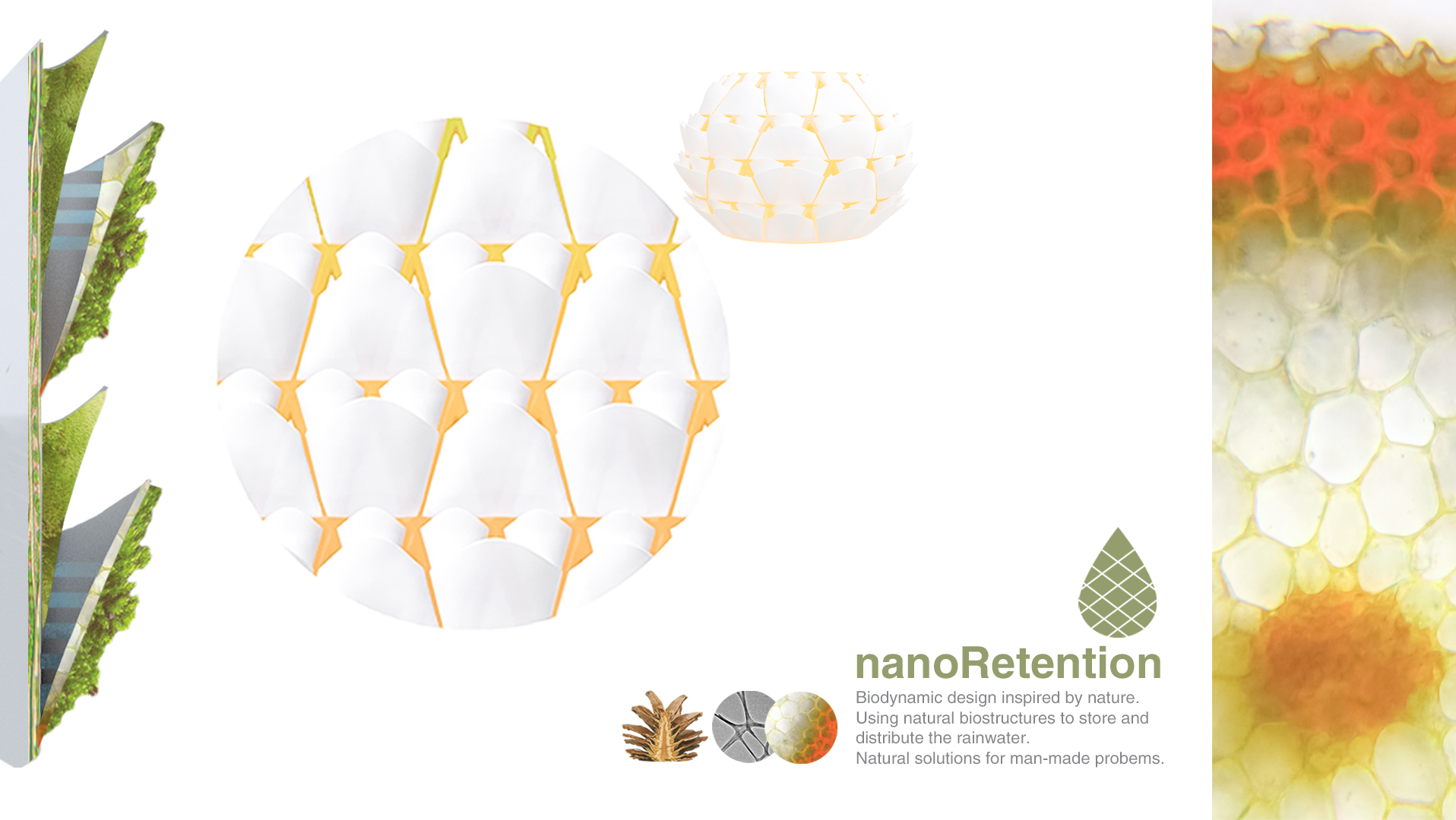 nanoRetention - European Design Upgrade 2020