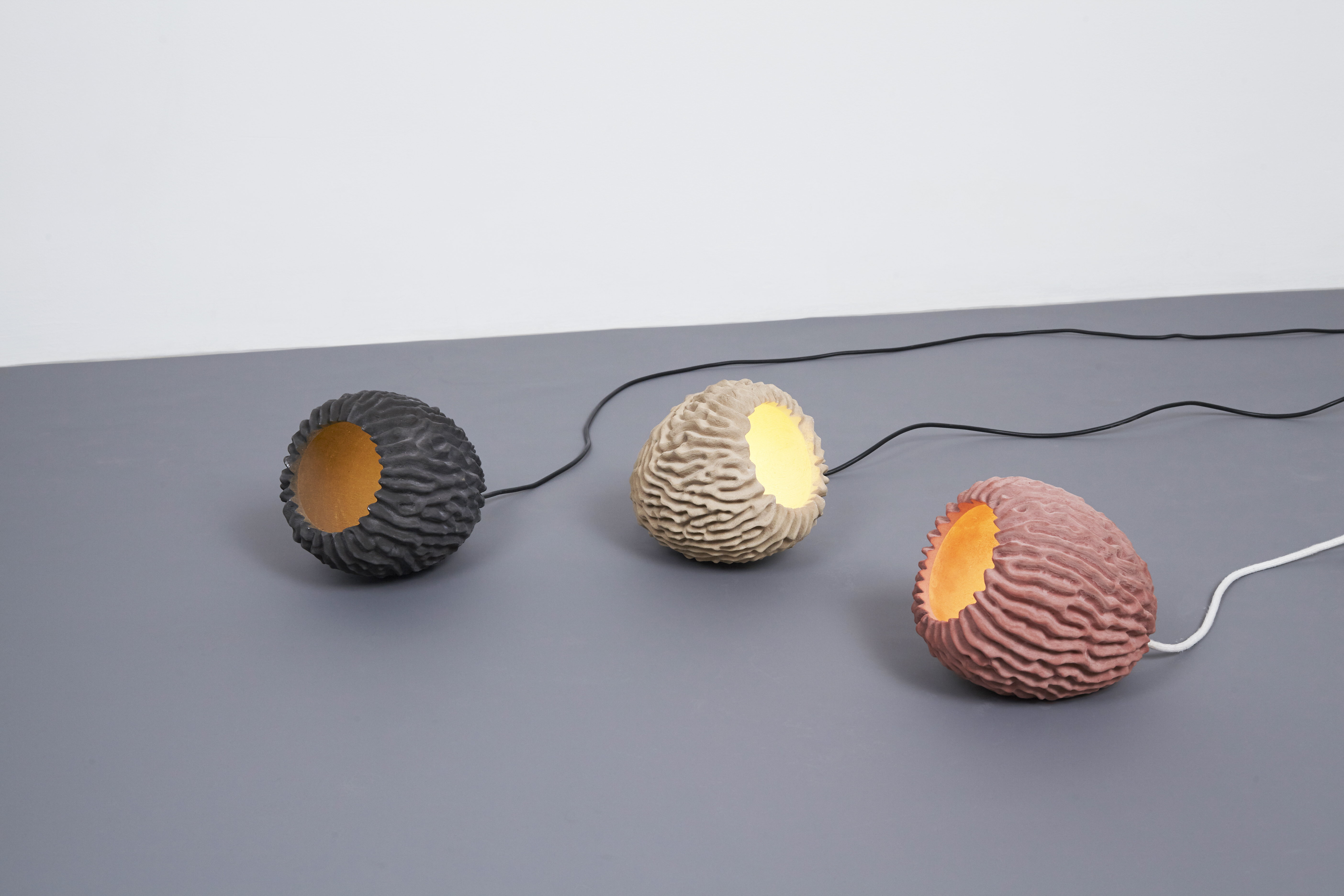 Coral Lights by Eric Geboers and Matteo Baldassari