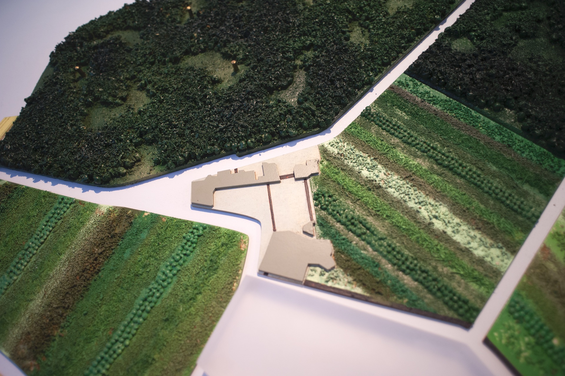 Uprooting Agro- systems, Bram de Vos