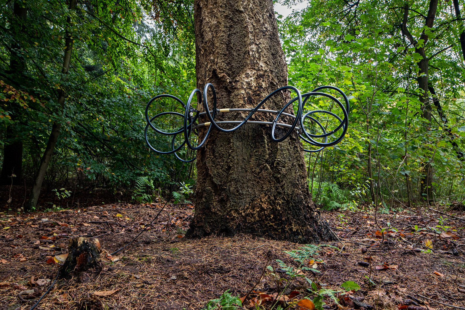 BioArt Laboratories - Tree Antenna