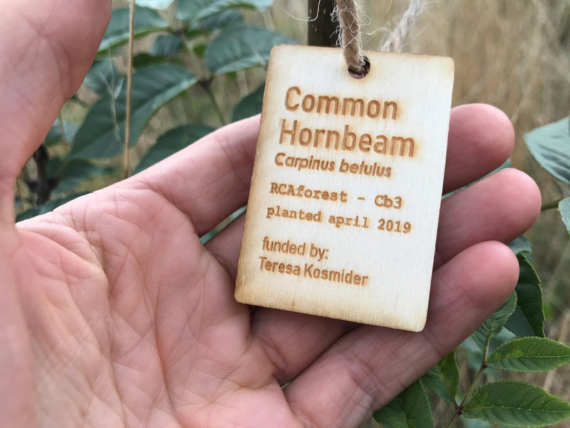 Virtual trees are planted and registered