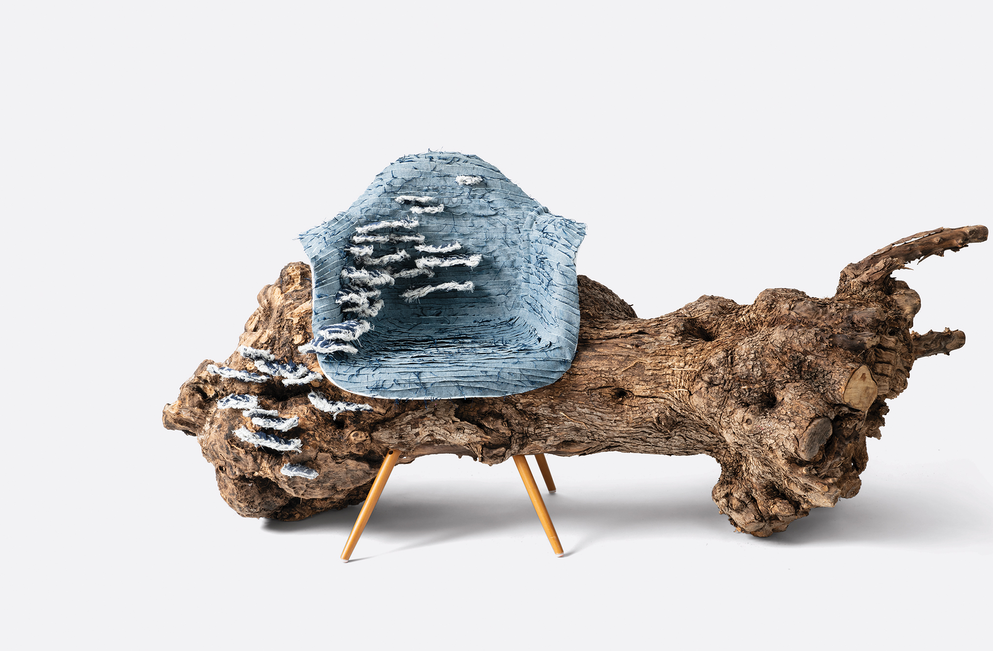 Eames Shell Chair DSW by Norman Monsanto