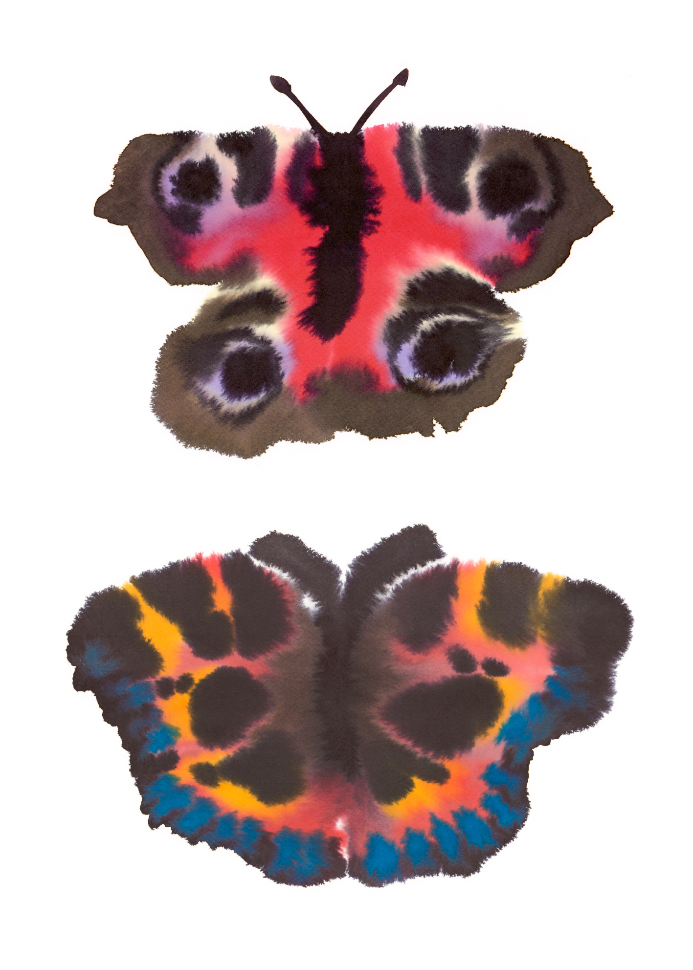 Two Butterflies - Wild Animals by Rop van Mierlo