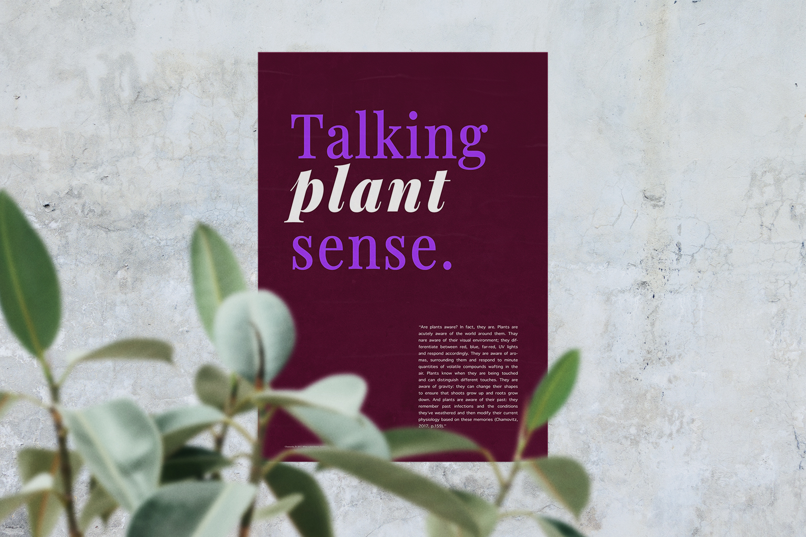 Poster, Talking plant sense