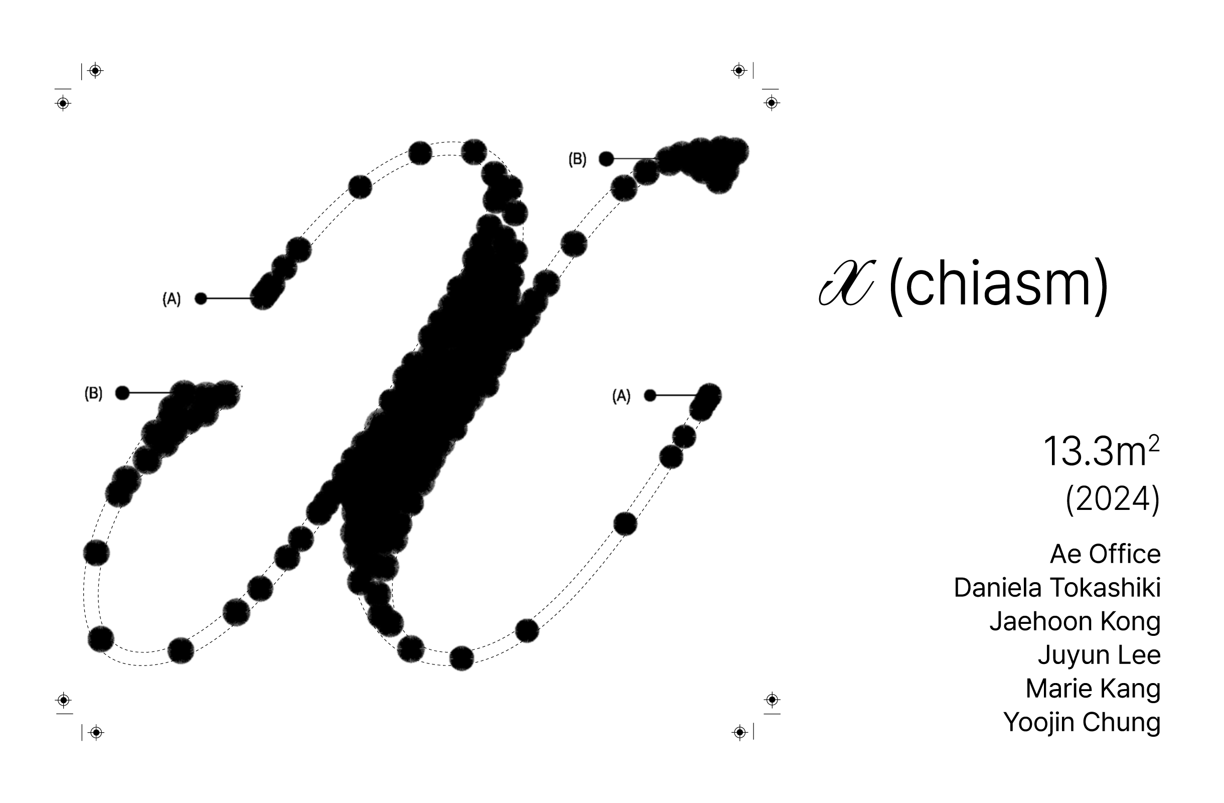 X (Chiasm)