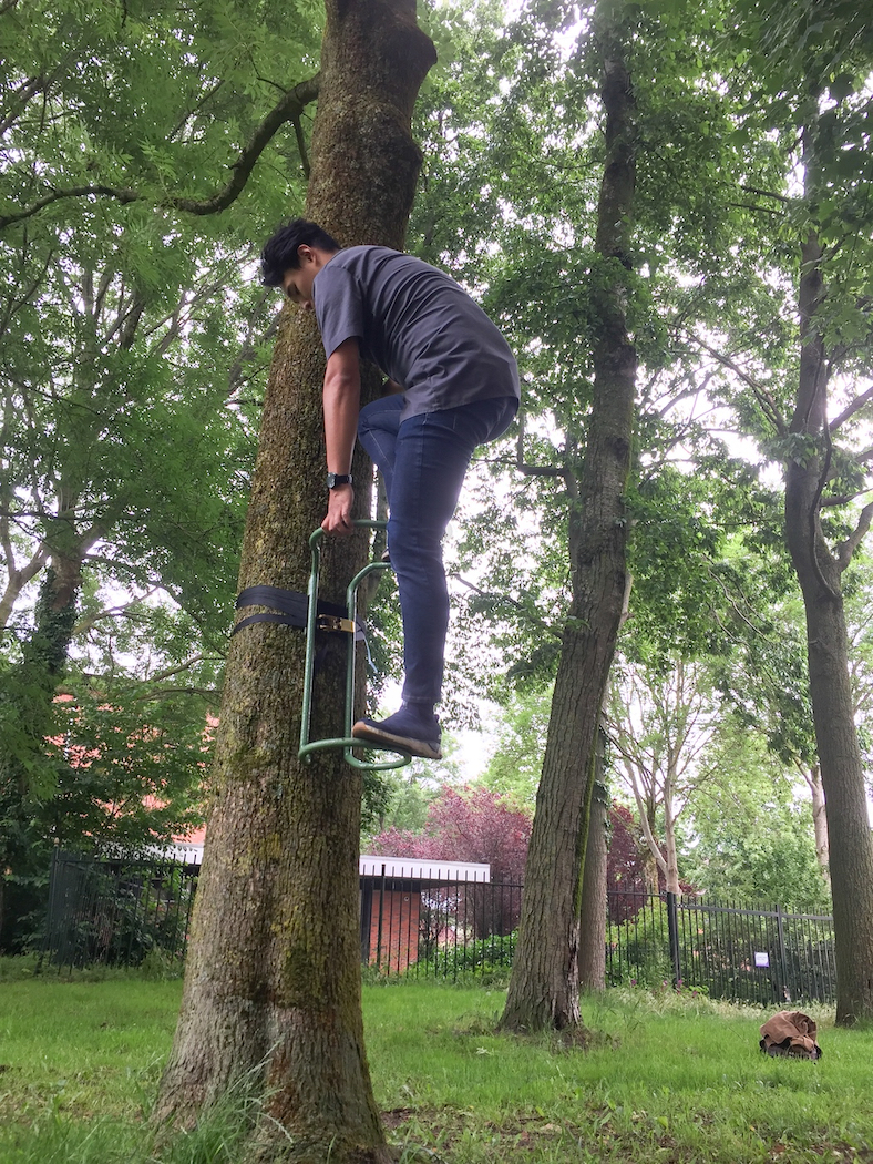 UP CLIMB