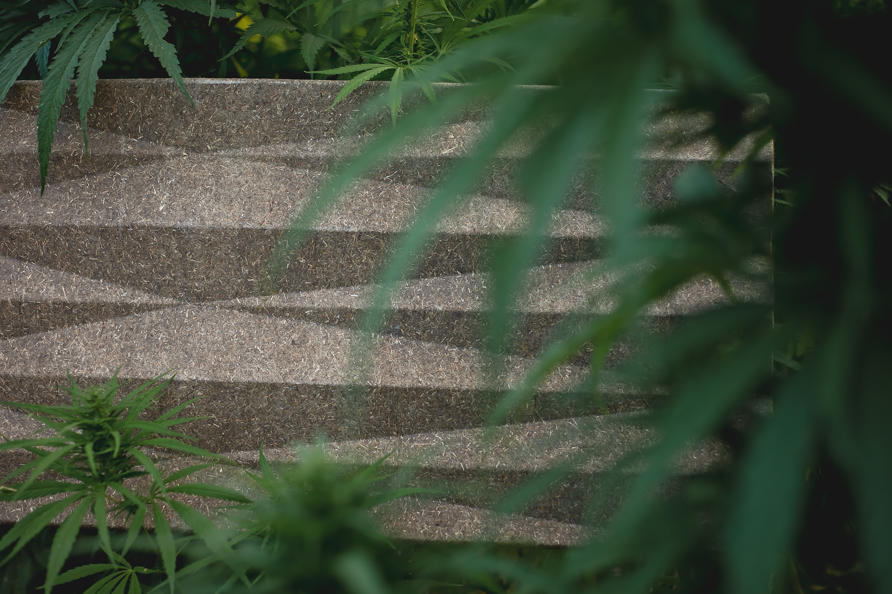 VANK_PANEL_DIAMOND_BIO_dark made of hemp