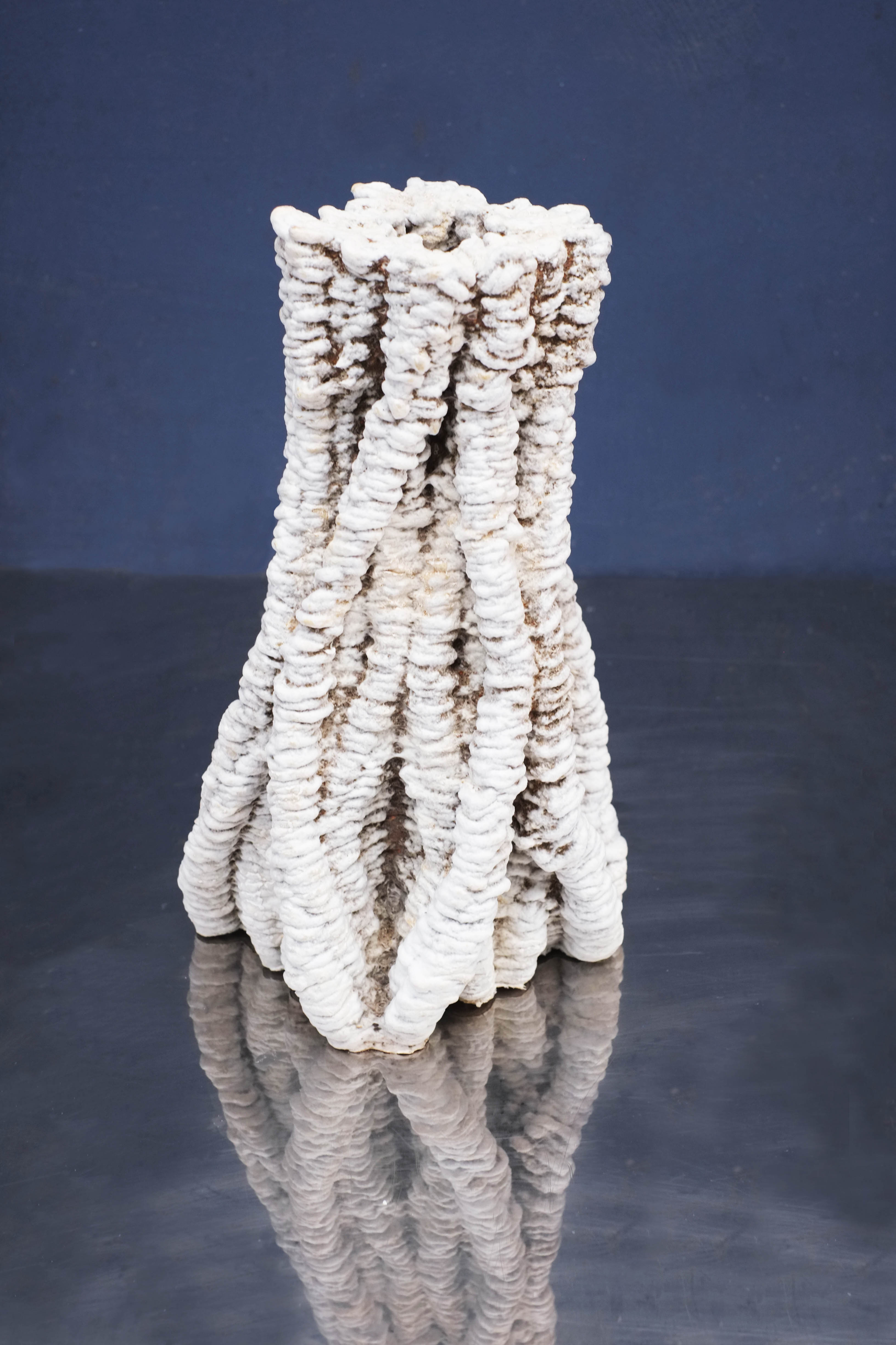 Root Vase
