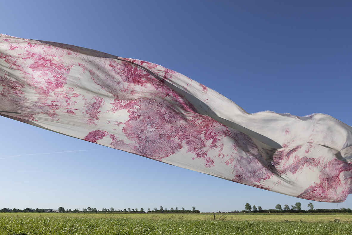 Fit-to-Farm Models for Biomanufacturing