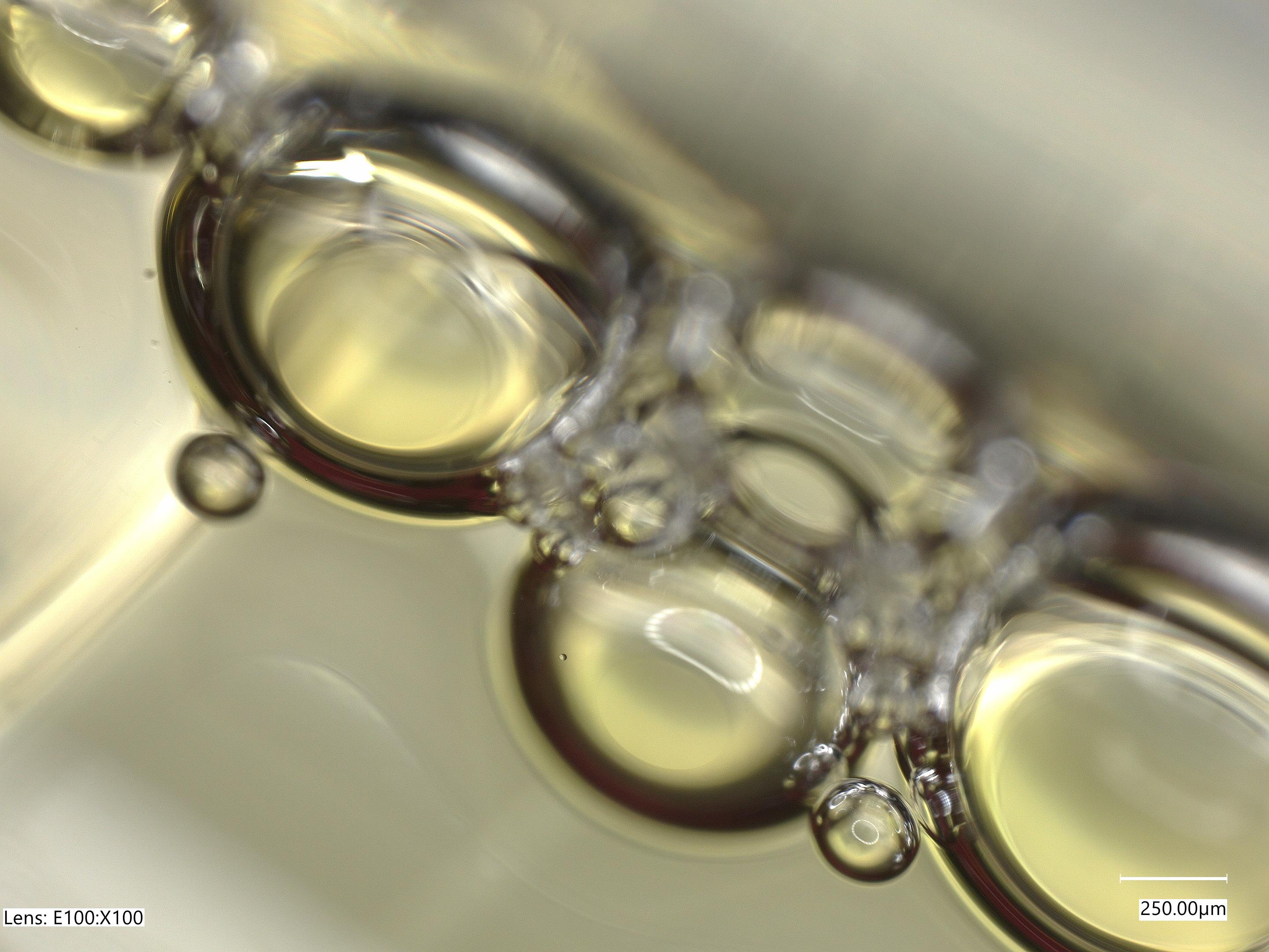 Microscopic image of Used Cooking Oil