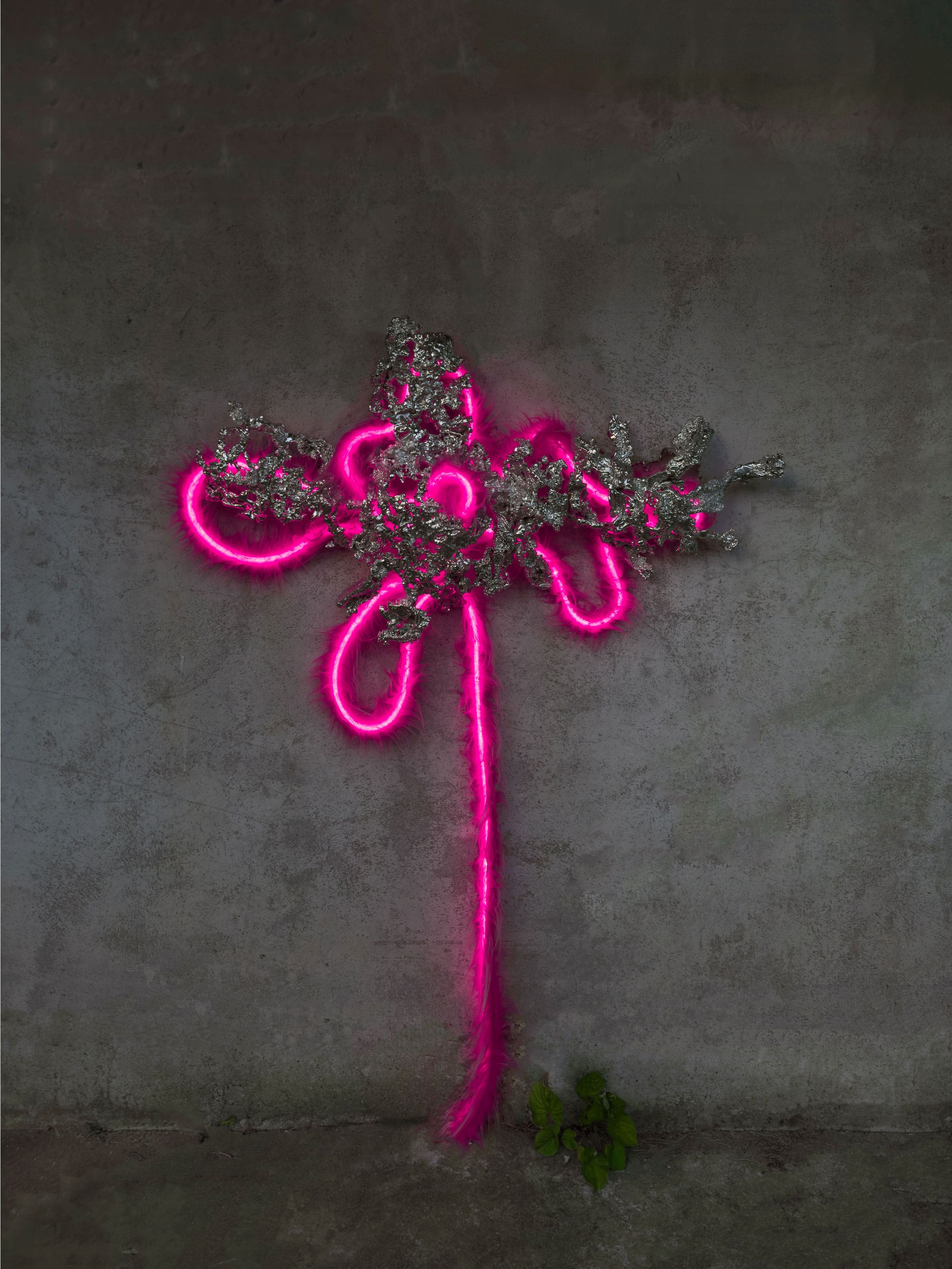Bony Lamp