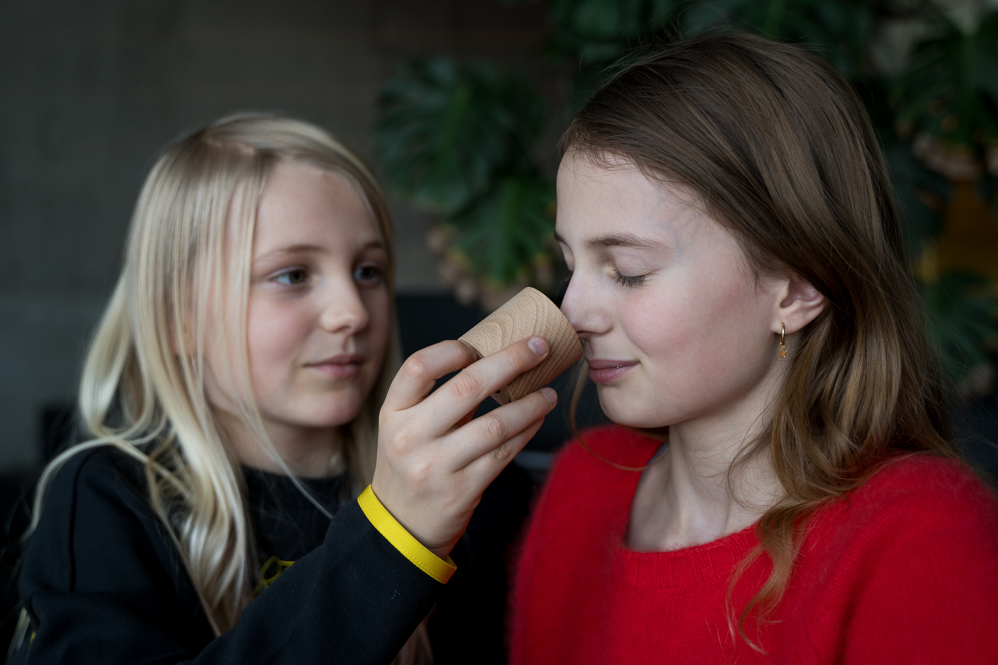 Waar zit jouw neus? (2024)