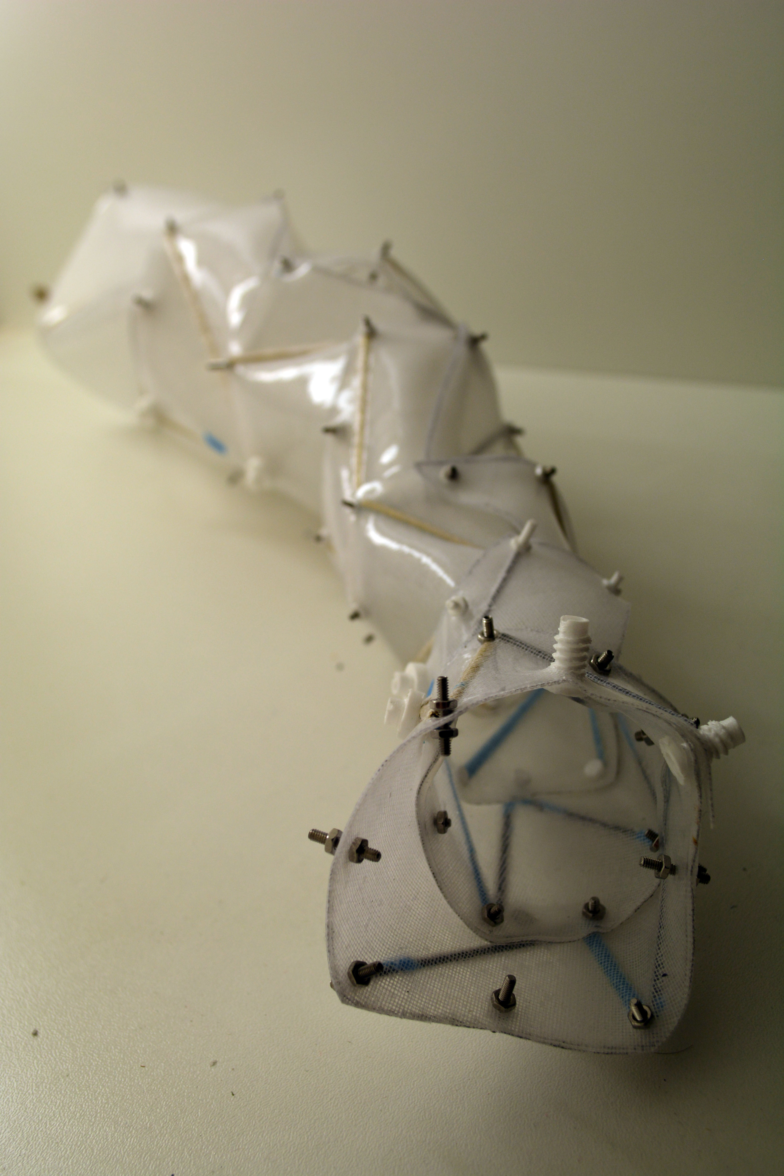 Partially assembled arm exposing the hollow body