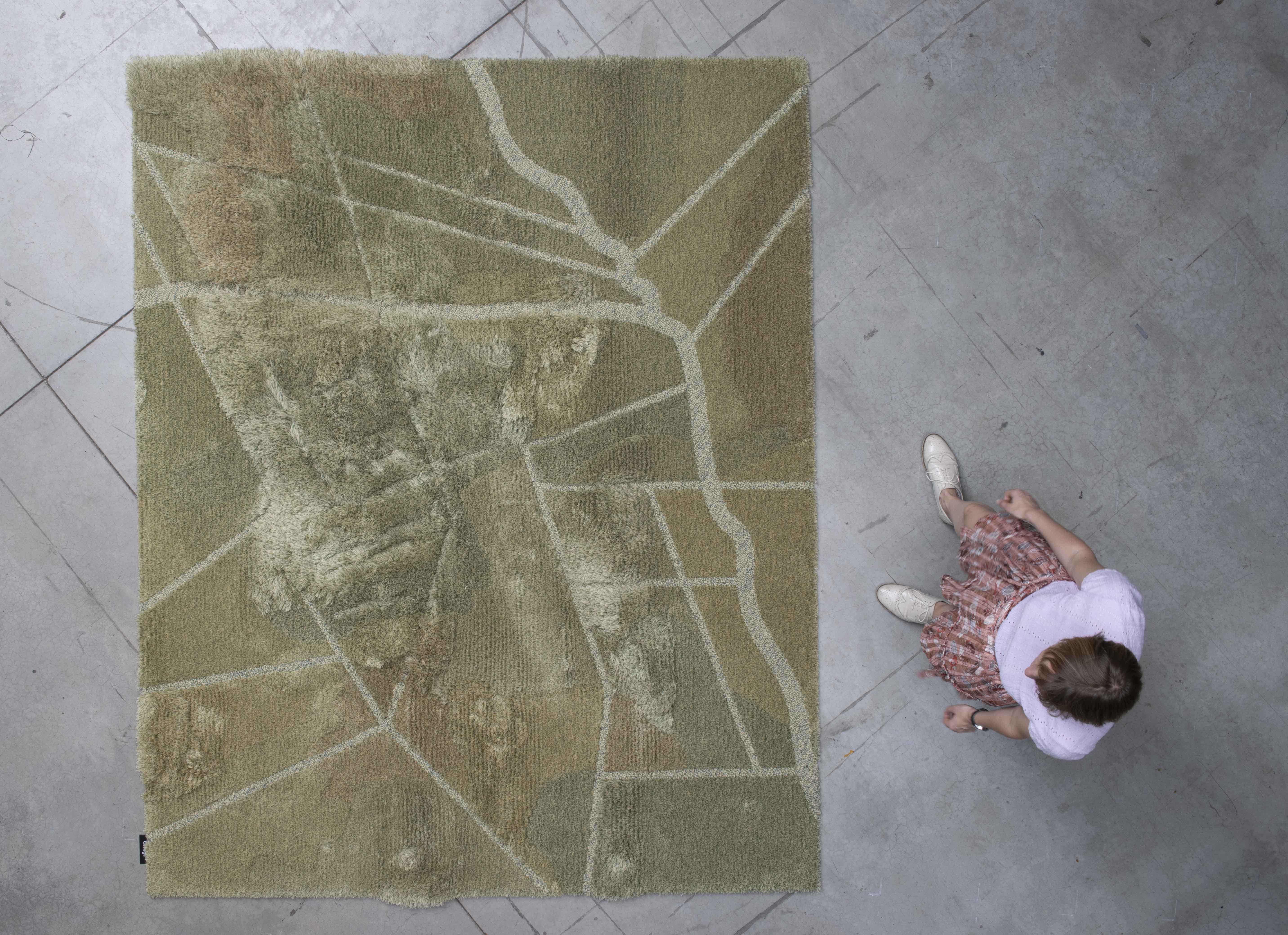 Carpet from above
