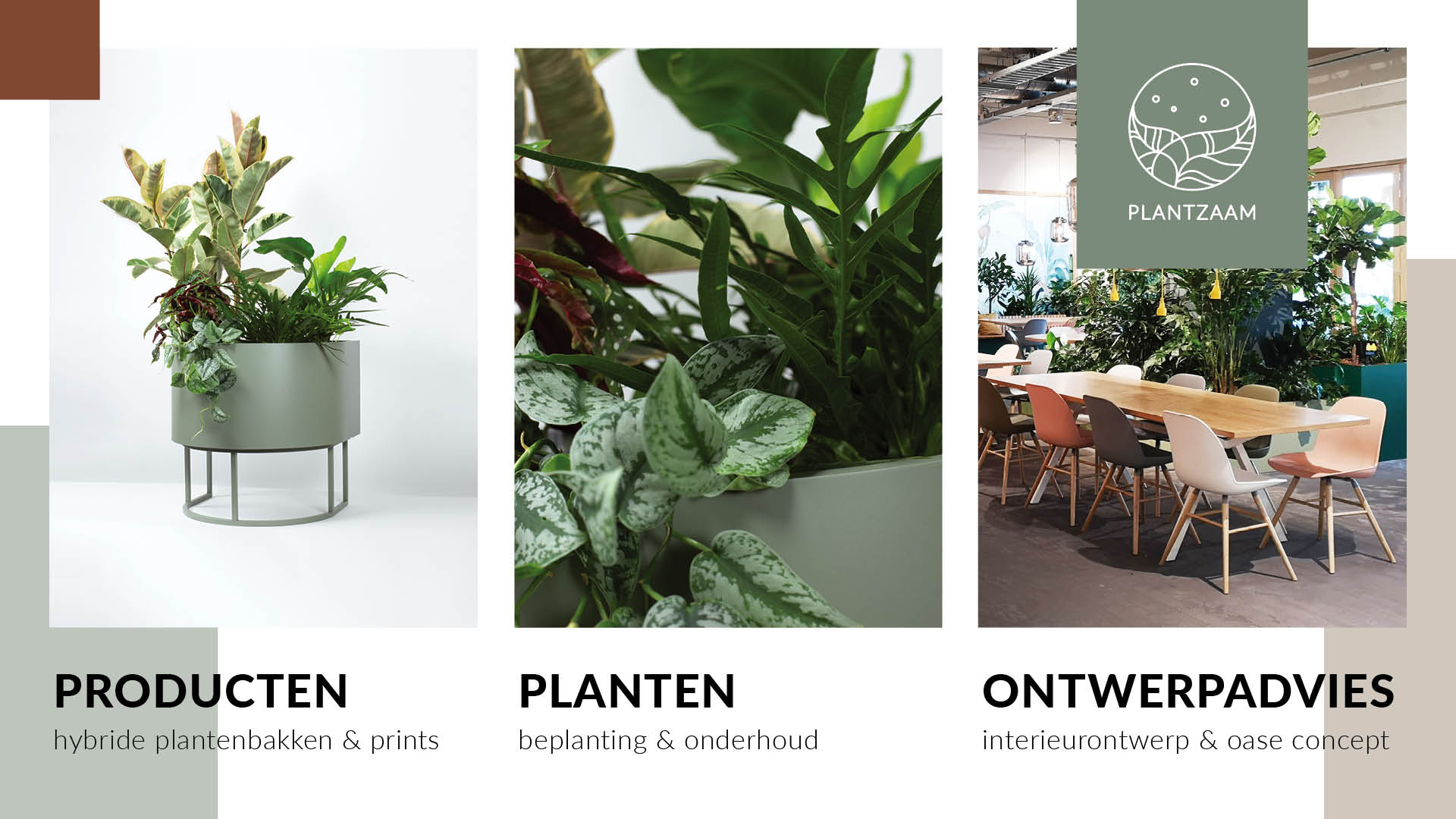 Plantzaam aanbod: vergroen jullie werkplek