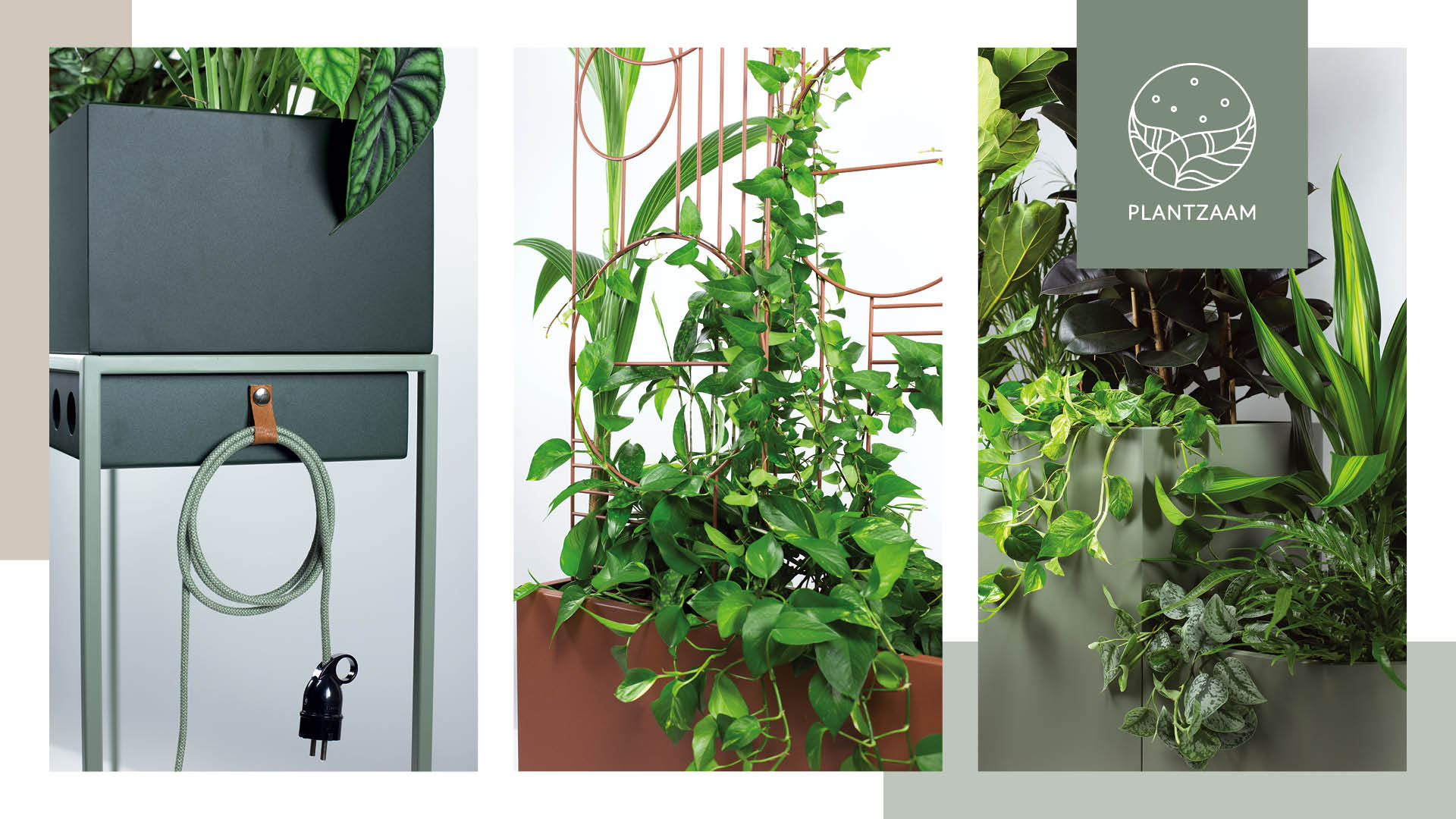 Hybride en multifunctionele plantproducten