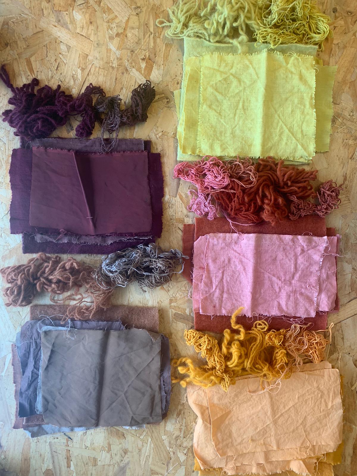Colors