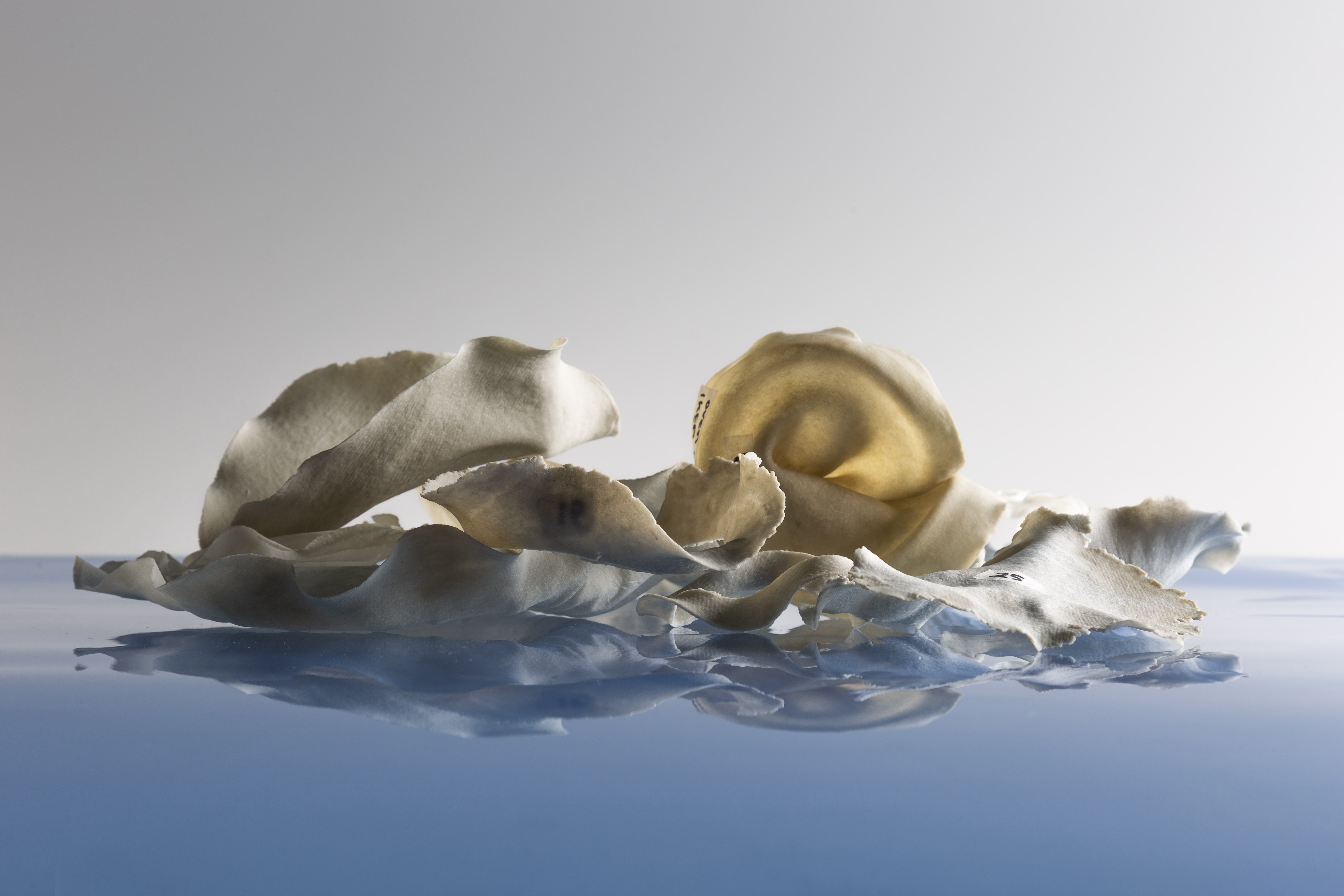 Material experiments by Tiina Otala