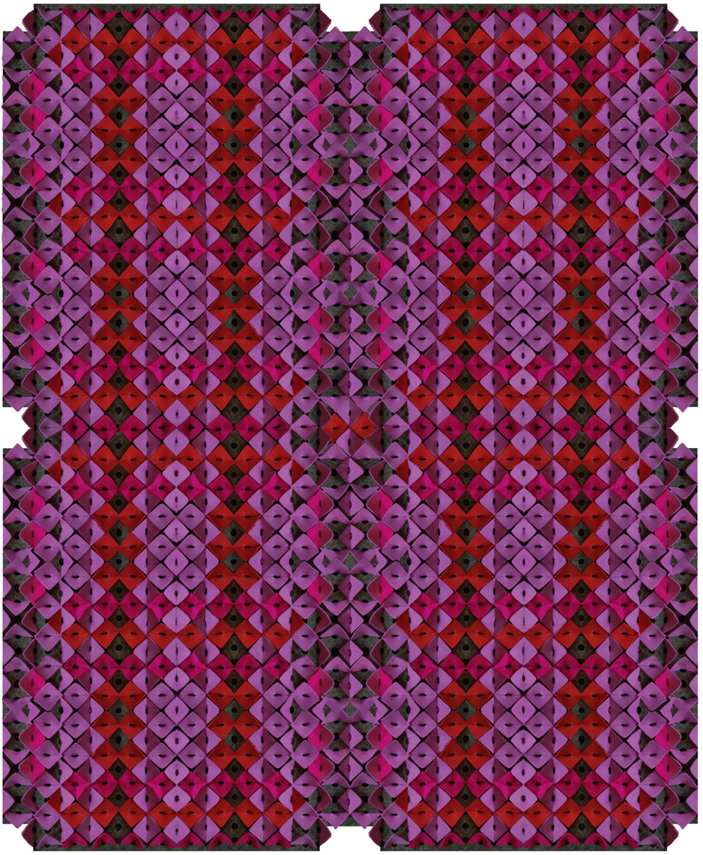 Module Carpet, Agnieszka Czop