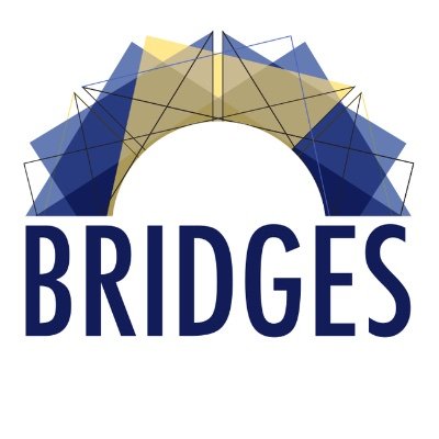 Featured in https://gallery.bridgesmathart.org/exhibitions/2024-bridges-conference-fashion-show/loe-feijs