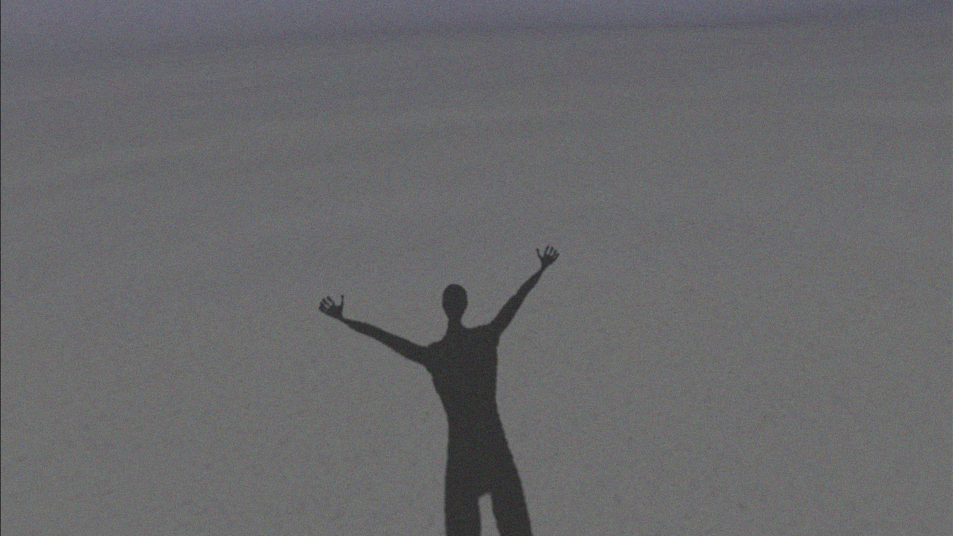 View from the virtual reality environment