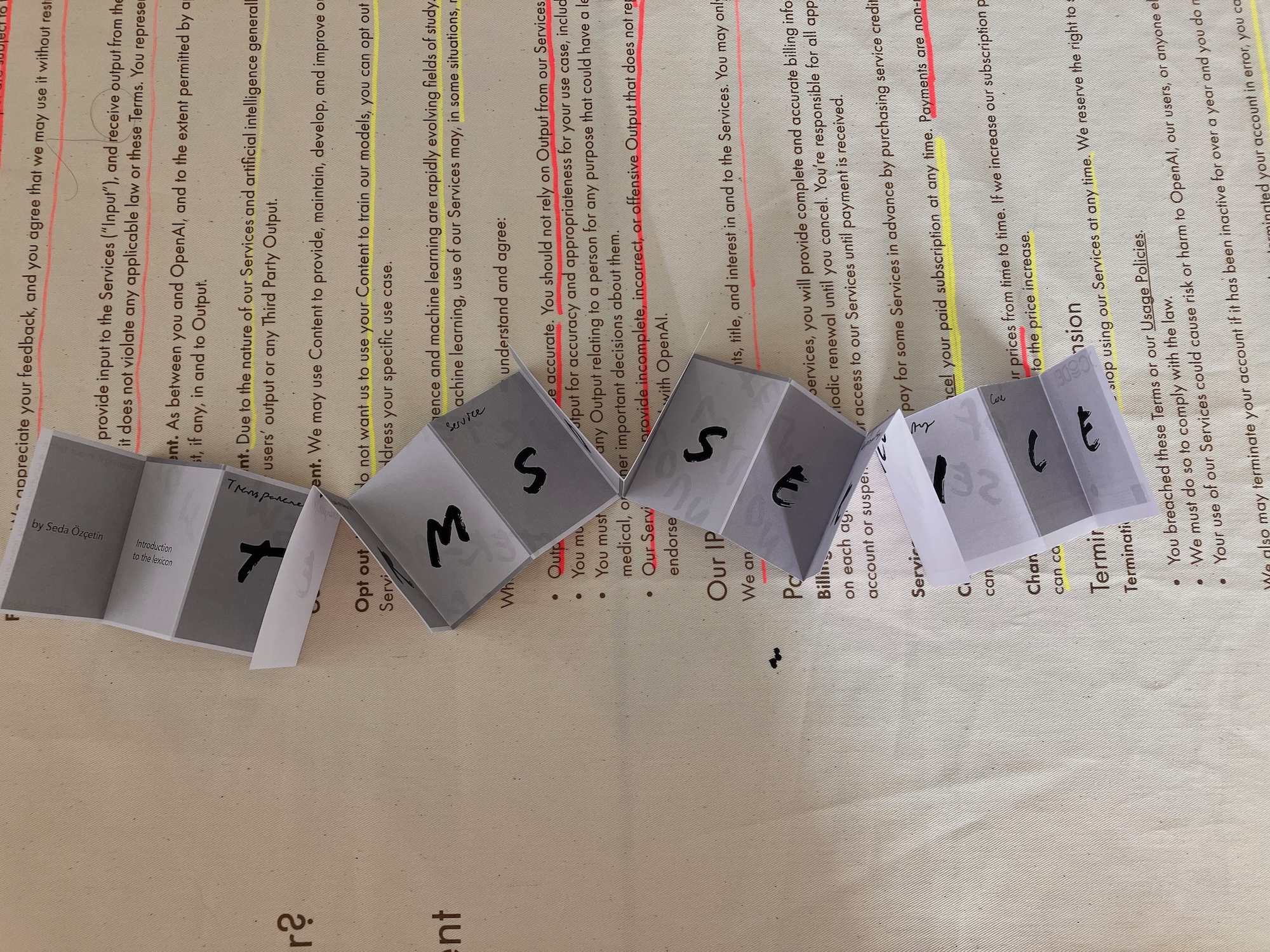 Zine mock-up exploring different vocabularies